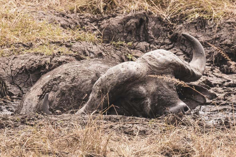 Arusha National Park