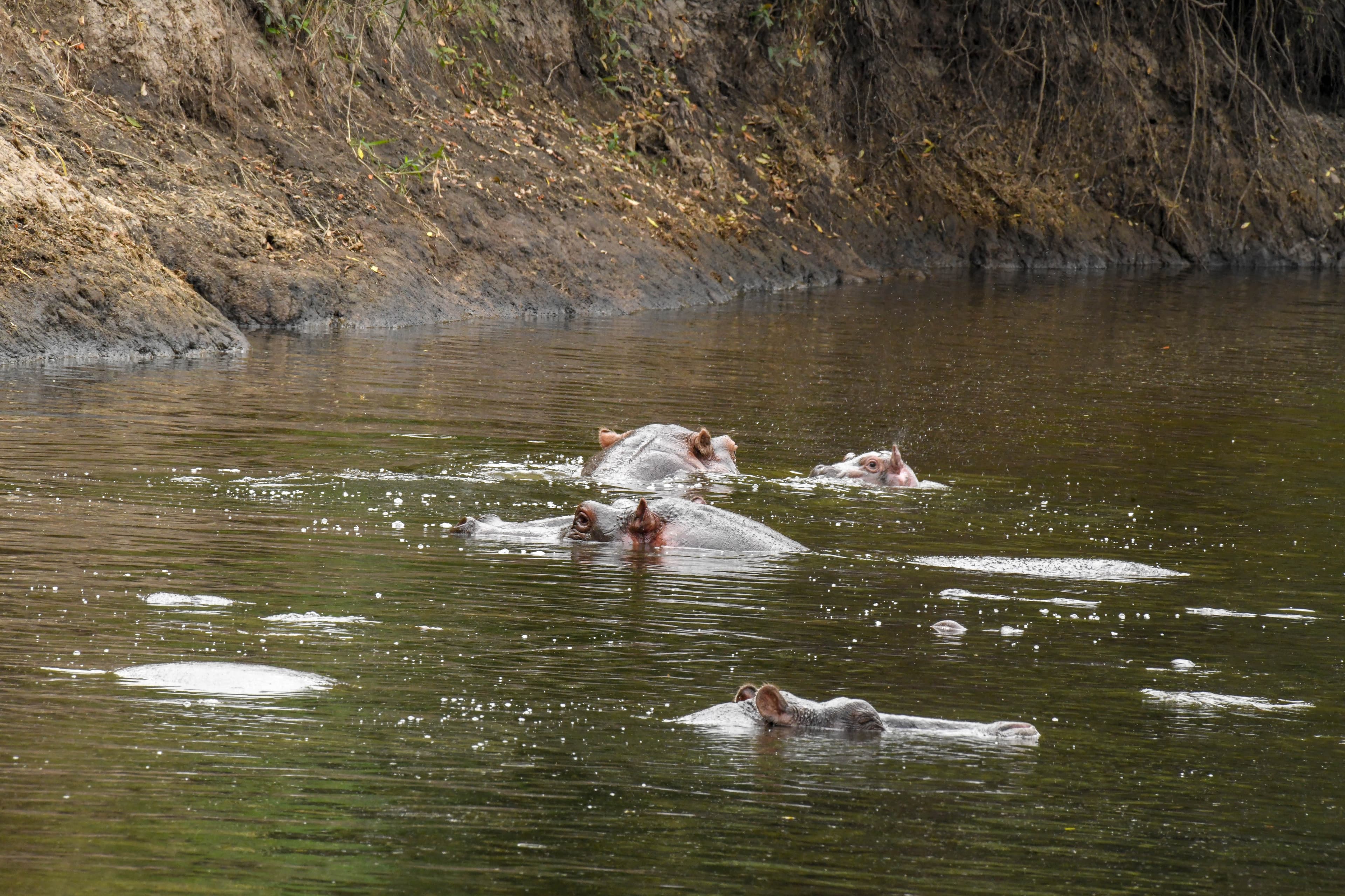 Mombasa City Tour - Half Day