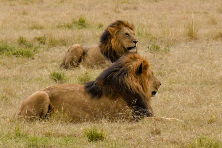 Murchison Falls National Park