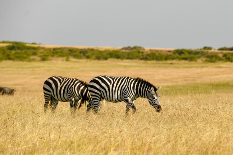 Lake Nakuru National Park