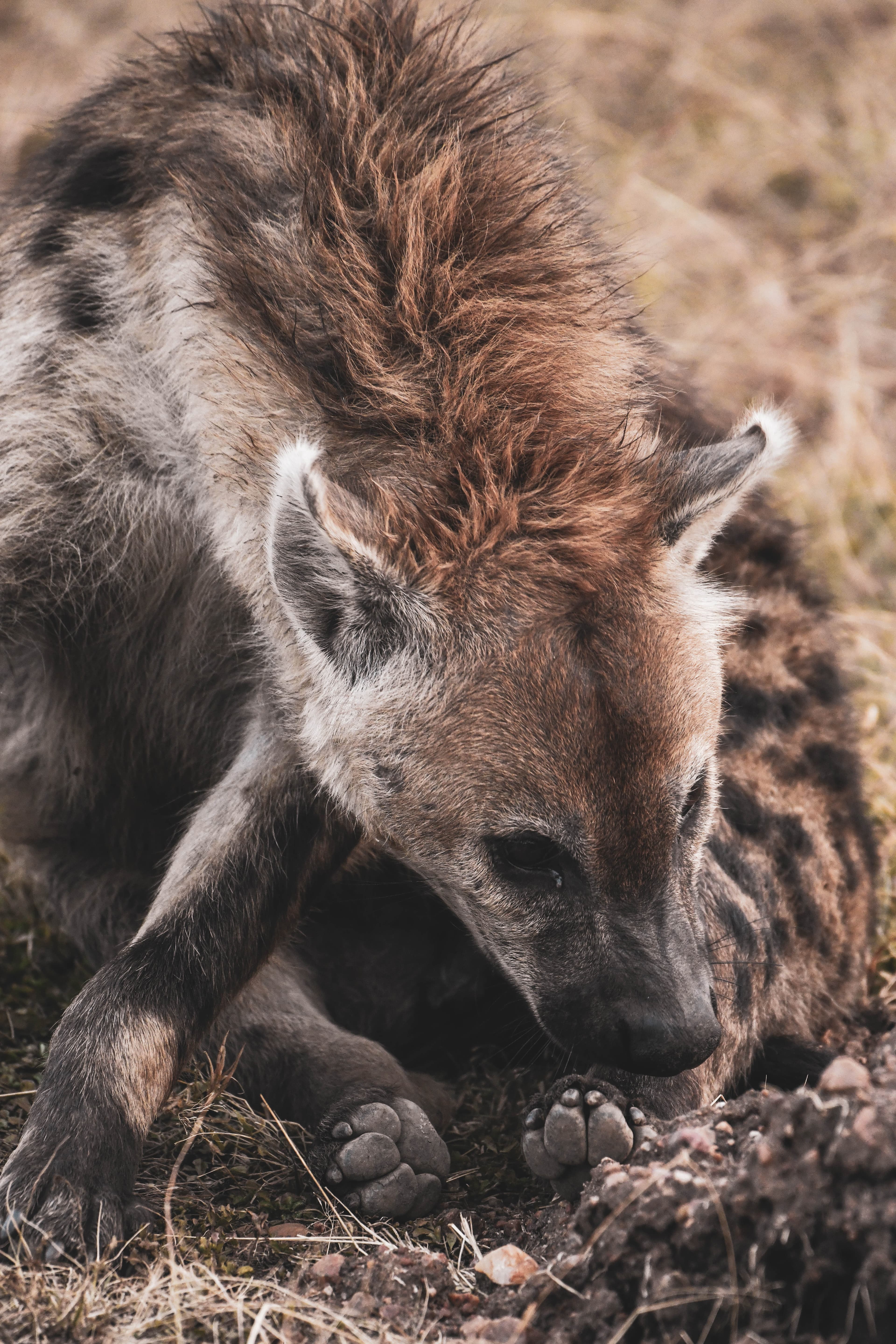3-Day Samburu Safari