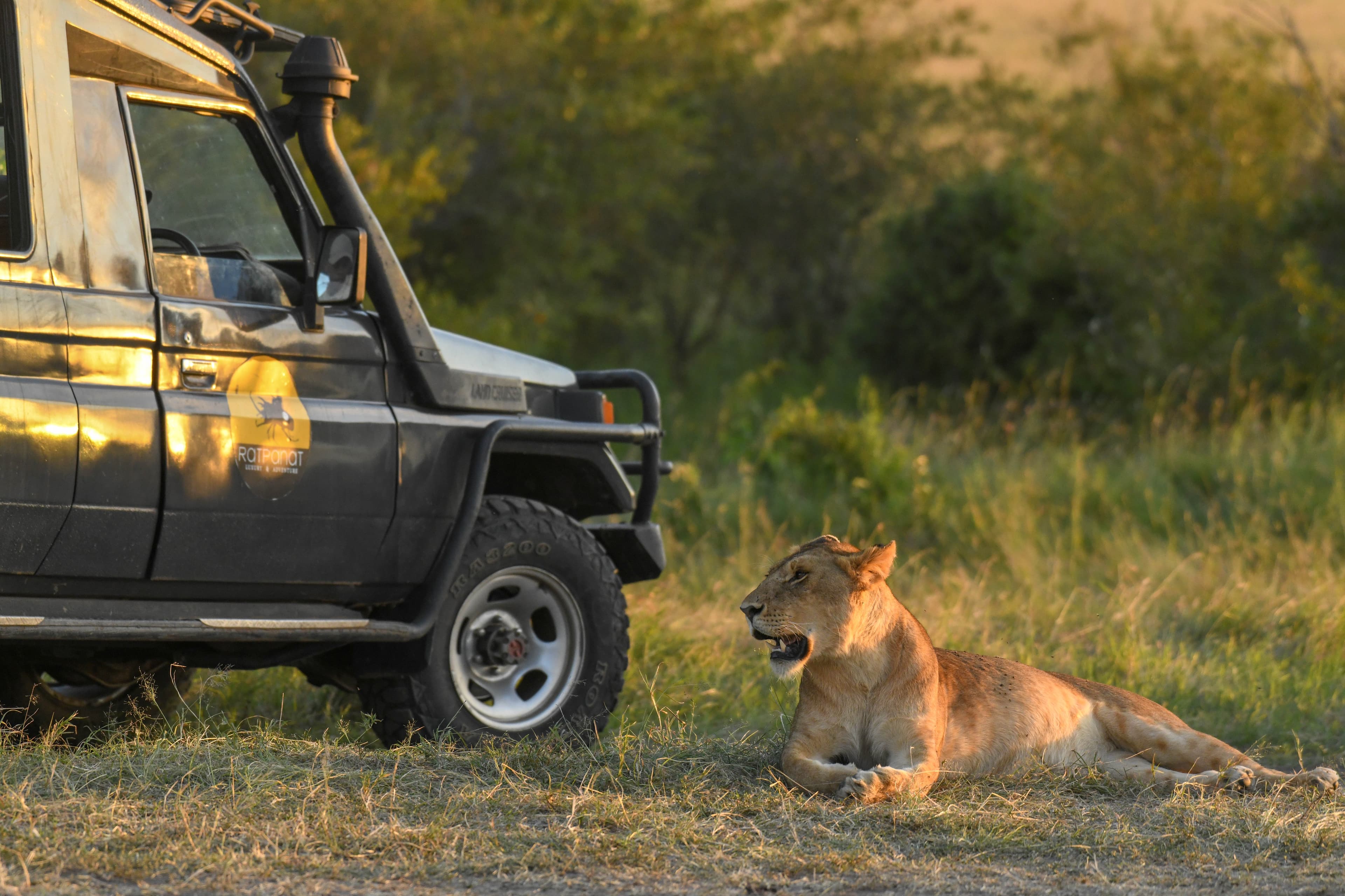 3-Day Samburu Flight Safari