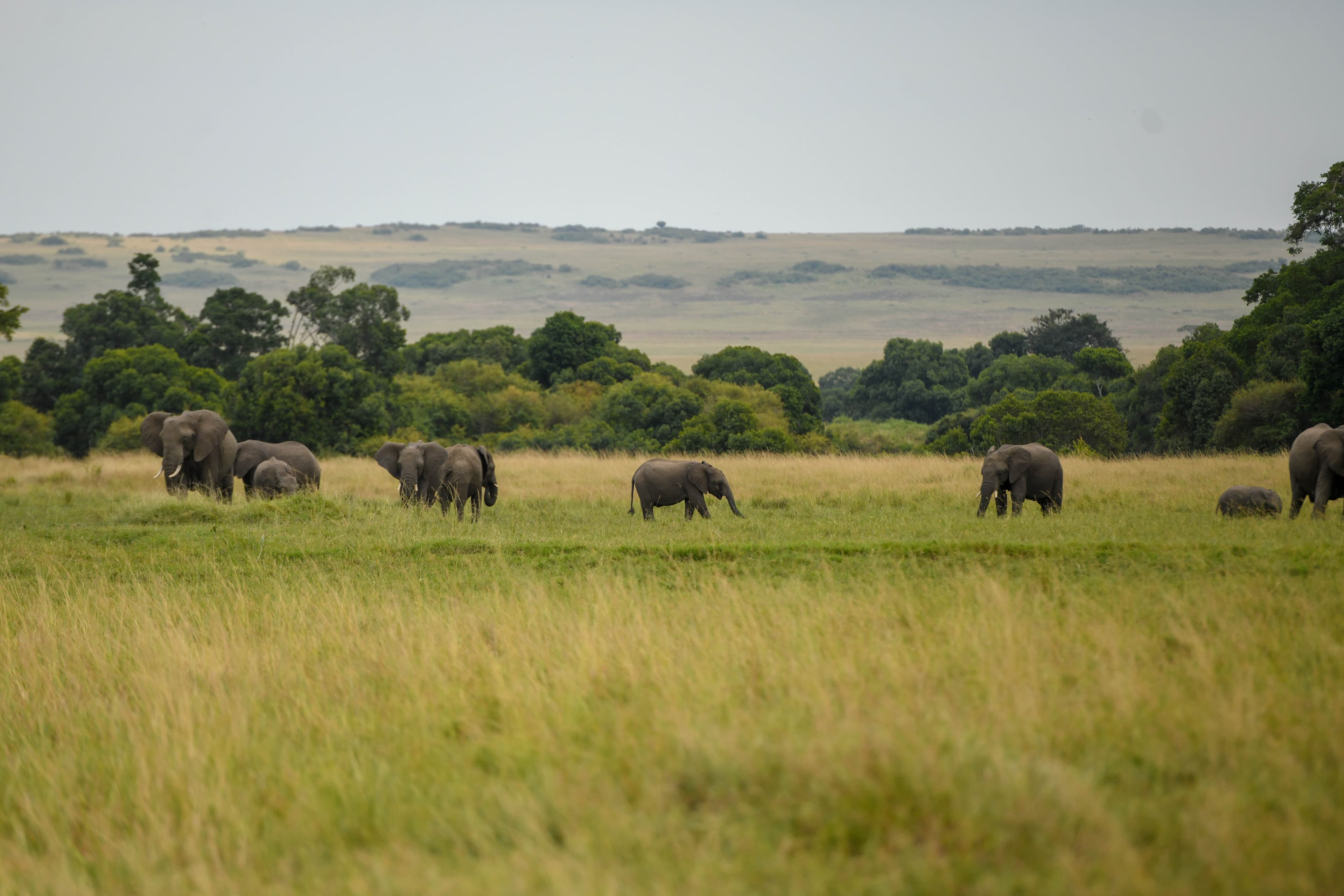 2-Day Tsavo East Safari