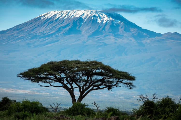 Mt Kilimanjaro National Reserve