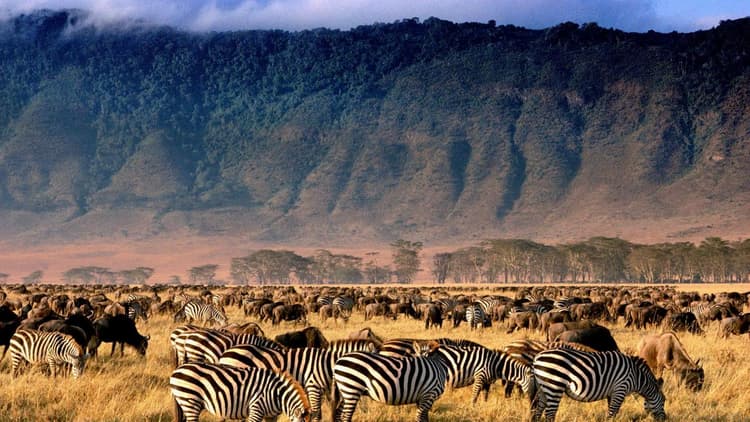 Lake Manyara National Park