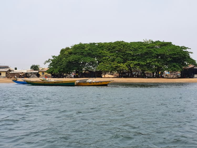 Ngamba Island Chimpanzee Sanctuary
