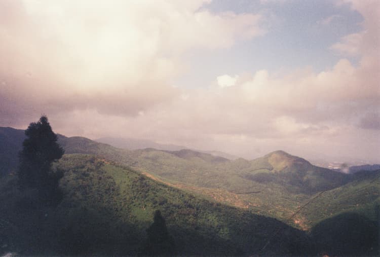 Rwenzori Mountains National Park